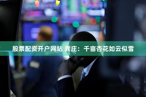 股票配资开户网站 龚庄：千亩杏花如云似雪