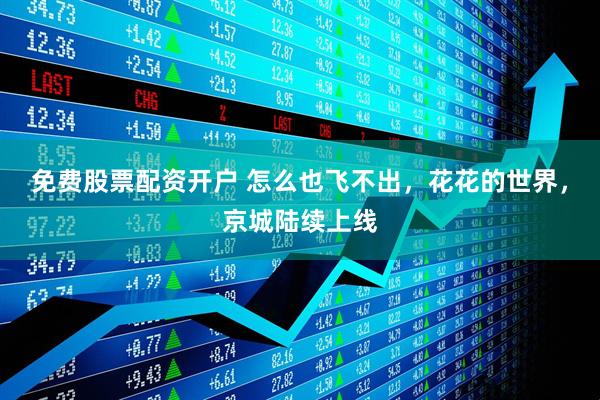 免费股票配资开户 怎么也飞不出，花花的世界，京城陆续上线